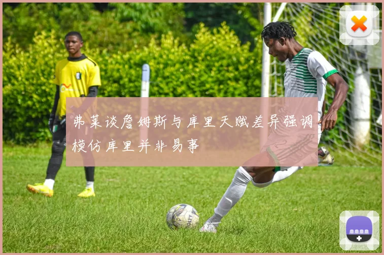 弗莱谈詹姆斯与库里天赋差异强调模仿库里并非易事
