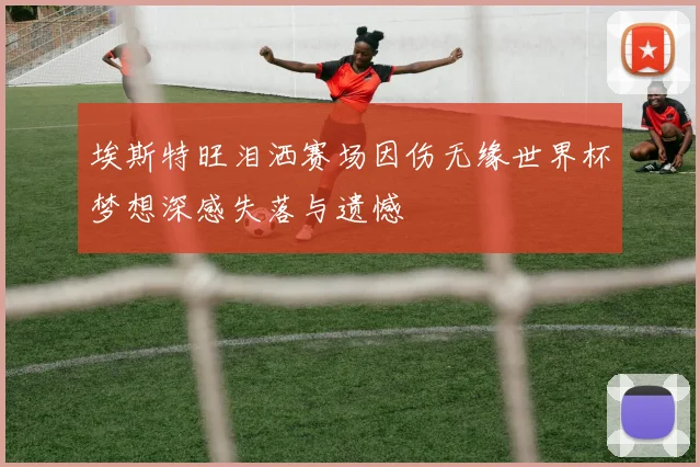 埃斯特旺泪洒赛场因伤无缘世界杯梦想深感失落与遗憾